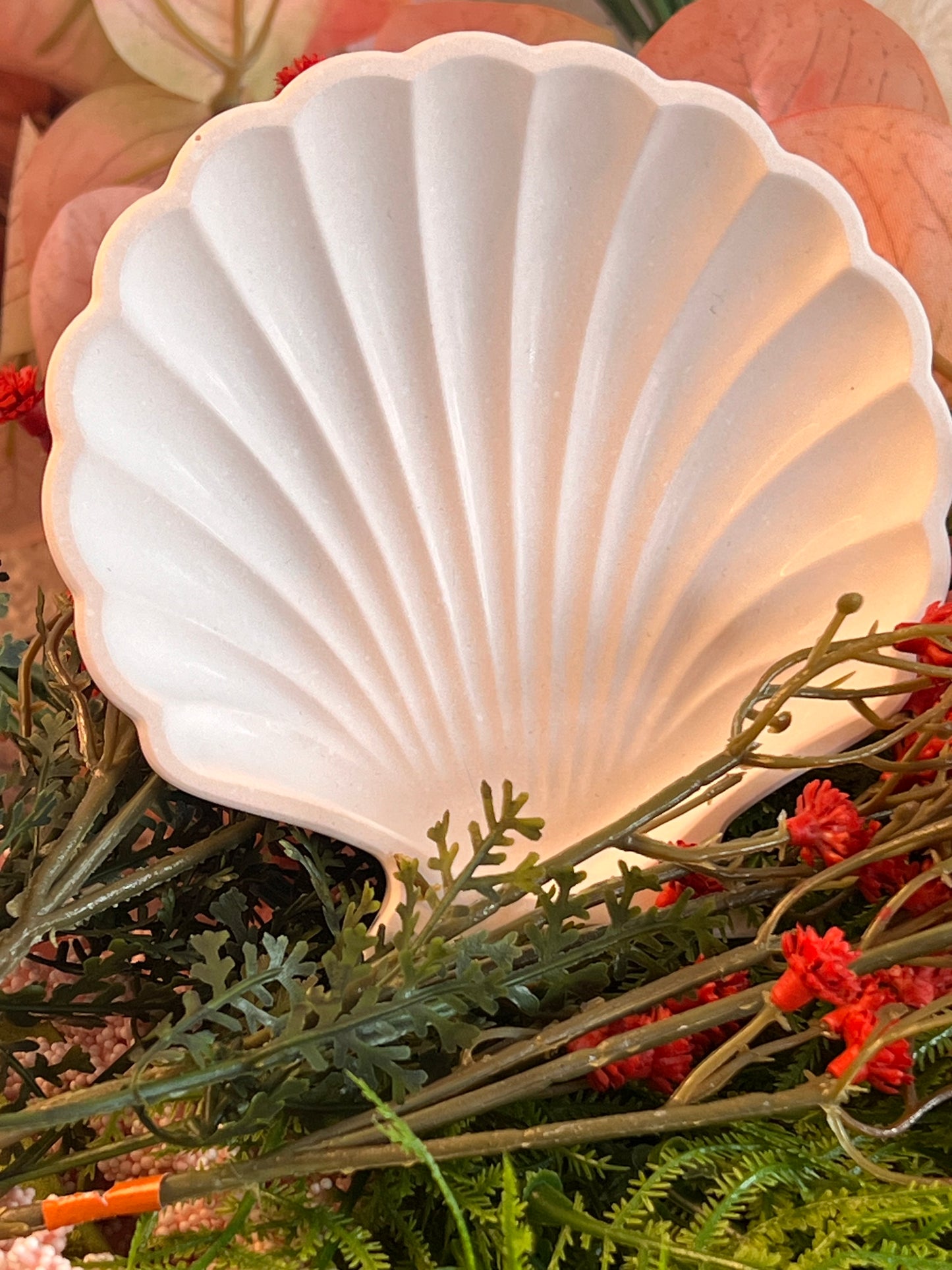 Shell jewellery trays