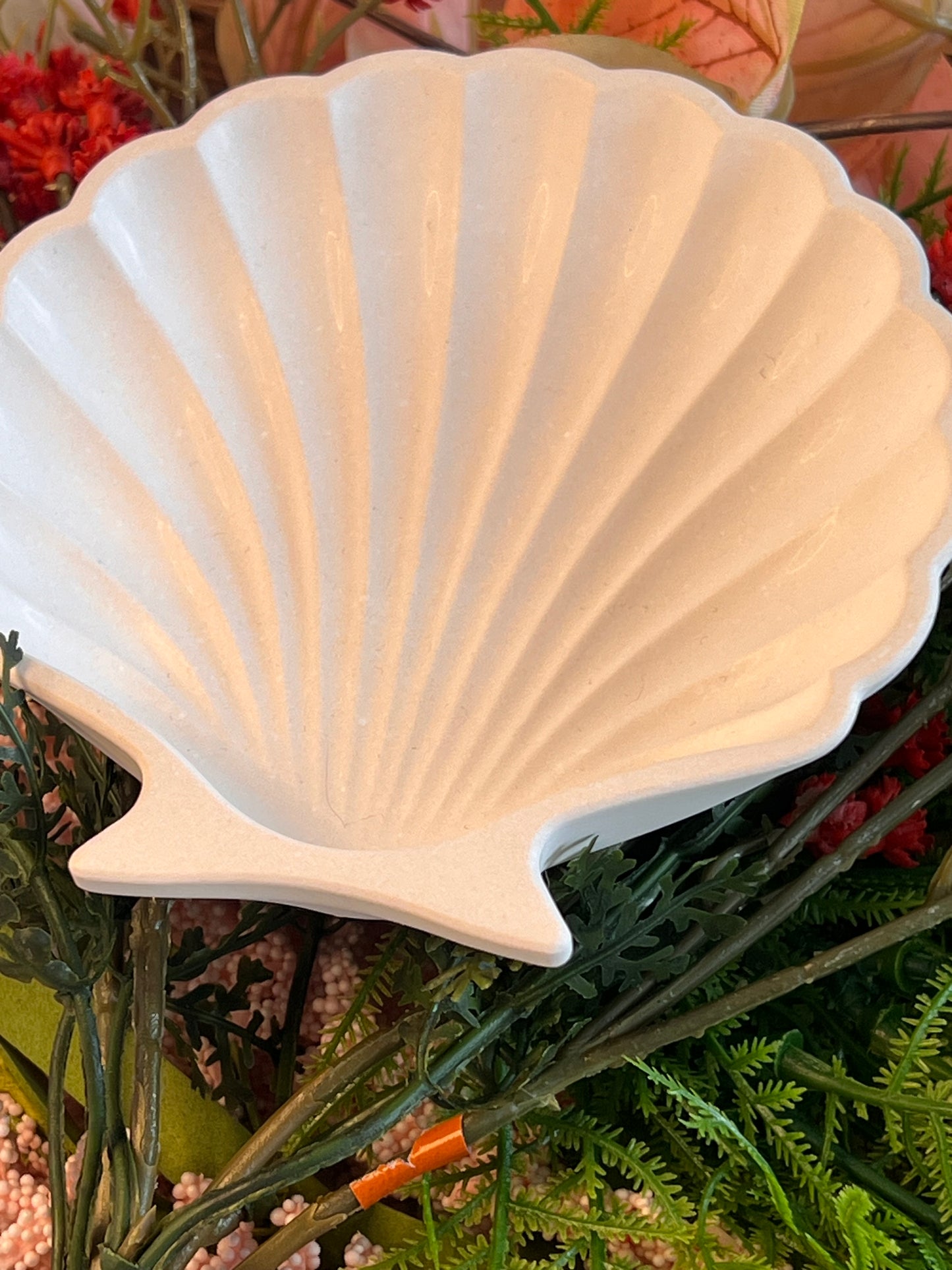 Shell jewellery trays