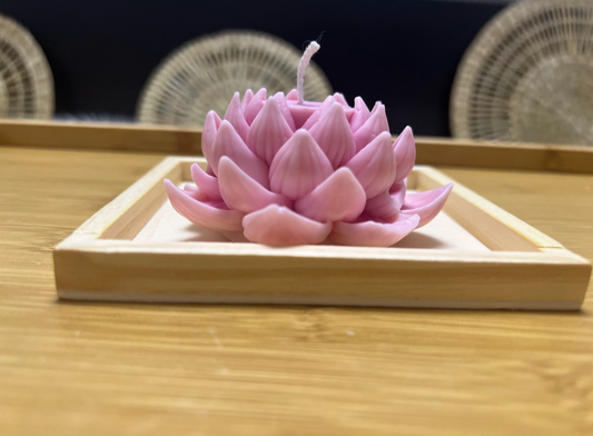 Lotus candle
