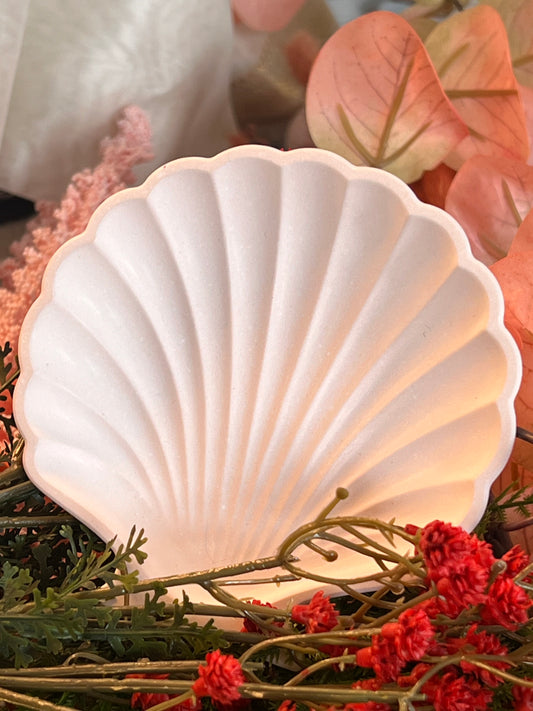 Shell jewellery trays
