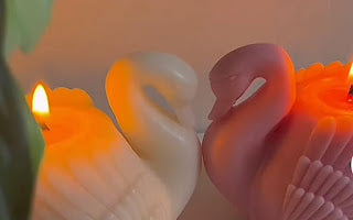 Swan candle set